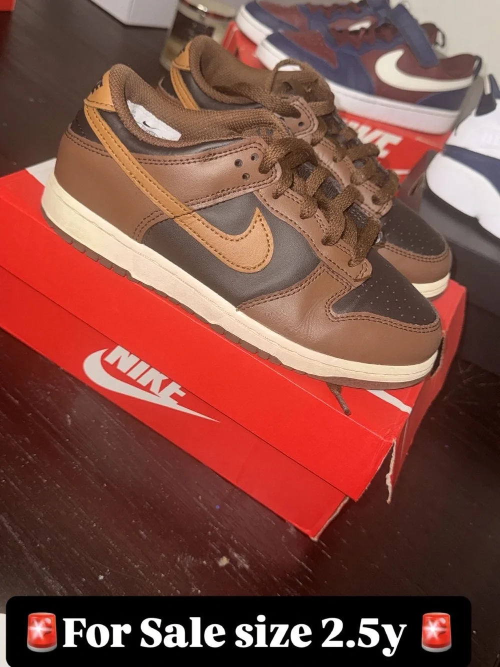 Nike Brown and Chocolate Low-Top Sneakers